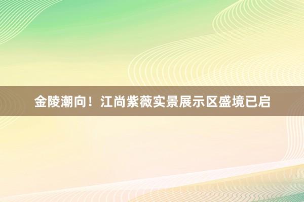 金陵潮向！江尚紫薇实景展示区盛境已启