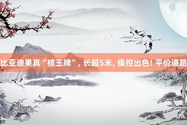 比亚迪果真“核王牌”, 长超5米, 操控出色! 平价道路