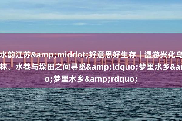 水韵江苏·好意思好生存|漫游兴化乌巾荡 在杉林、水巷与垛田之间寻觅“梦里水乡”