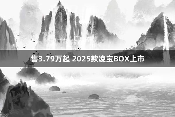 售3.79万起 2025款凌宝BOX上市