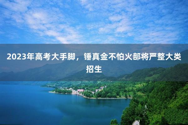 2023年高考大手脚，锤真金不怕火部将严整大类招生