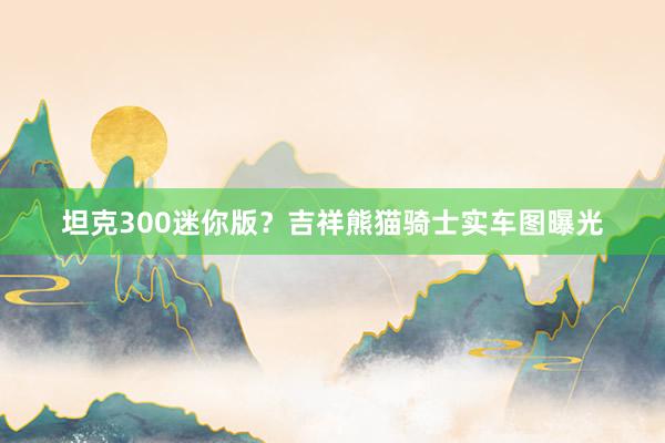 坦克300迷你版?吉祥熊猫骑士实车图曝光