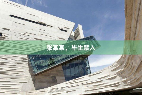 张某某，毕生禁入