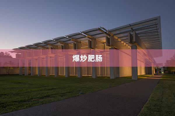 爆炒肥肠