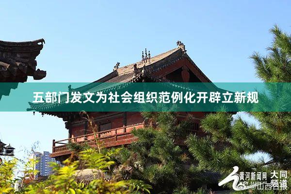 五部门发文为社会组织范例化开辟立新规