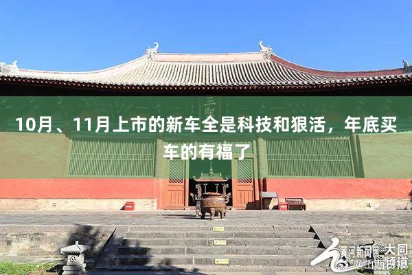 10月、11月上市的新车全是科技和狠活,年底买车的有福了