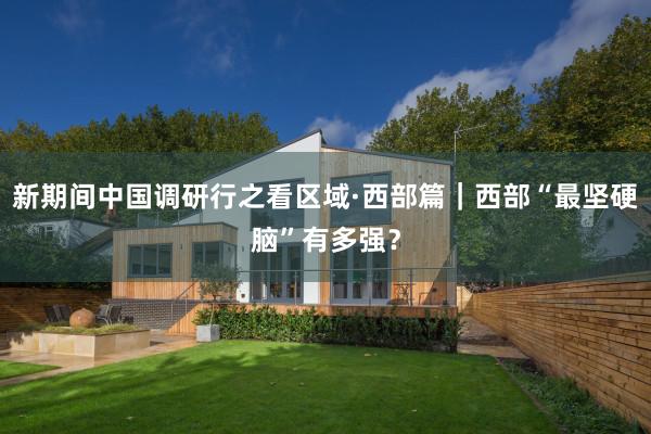 新期间中国调研行之看区域·西部篇｜西部“最坚硬脑”有多强？