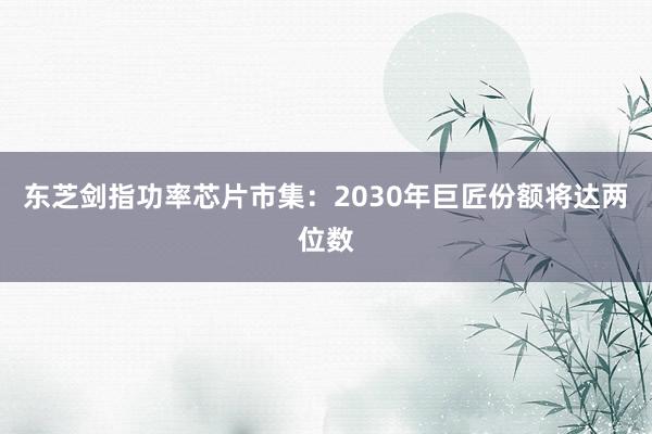 东芝剑指功率芯片市集:2030年巨匠份额将达两位数