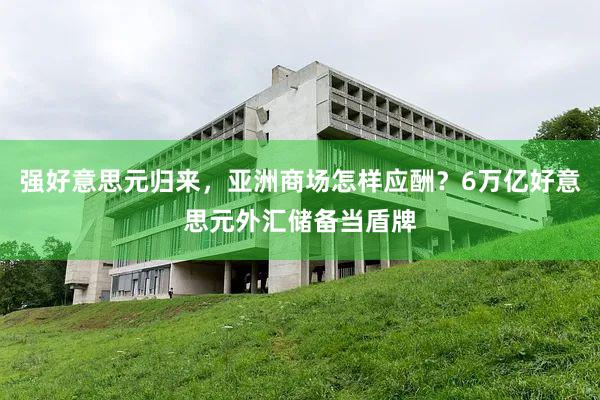 强好意思元归来,亚洲商场怎样应酬?6万亿好意思元外汇储备当盾牌