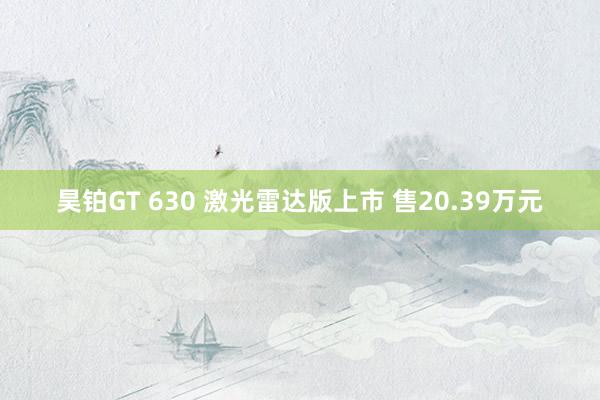 昊铂GT 630 激光雷达版上市 售20.39万元