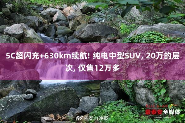 5C超闪充+630km续航! 纯电中型SUV, 20万的层次, 仅售12万多