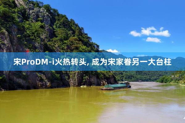 宋ProDM-i火热转头, 成为宋家眷另一大台柱