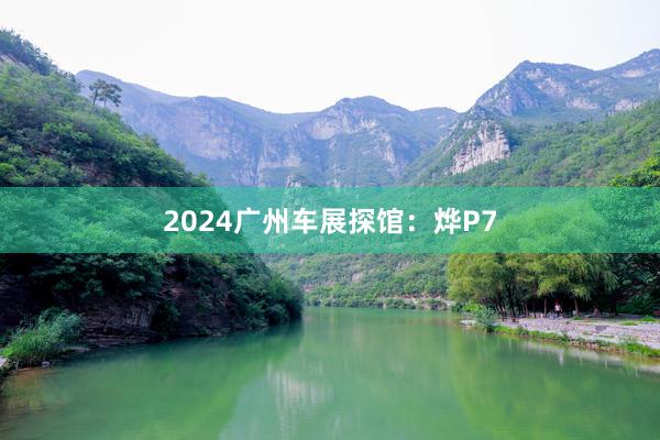 2024广州车展探馆:烨P7