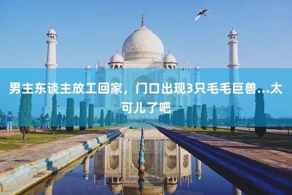 男主东谈主放工回家,门口出现3只毛毛巨兽...太可儿了吧