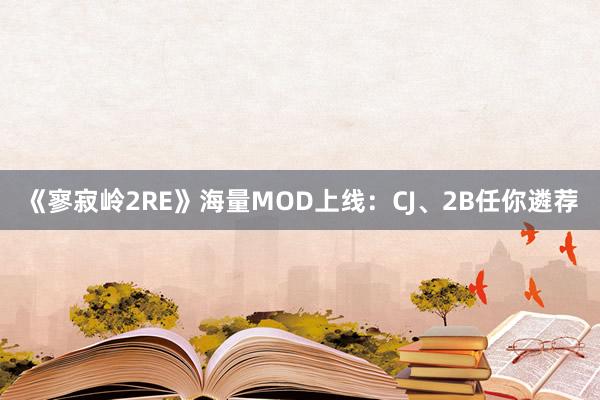 《寥寂岭2RE》海量MOD上线:CJ、2B任你遴荐