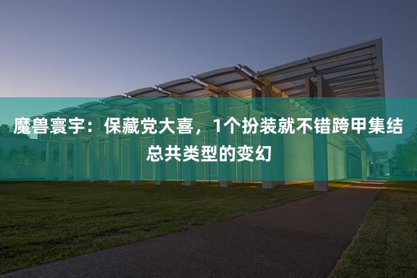 魔兽寰宇：保藏党大喜，1个扮装就不错跨甲集结总共类型的变幻
